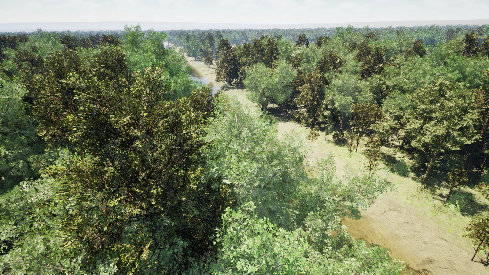 An elevated view of a winding river and sandy banks surrounded by dense green forest.